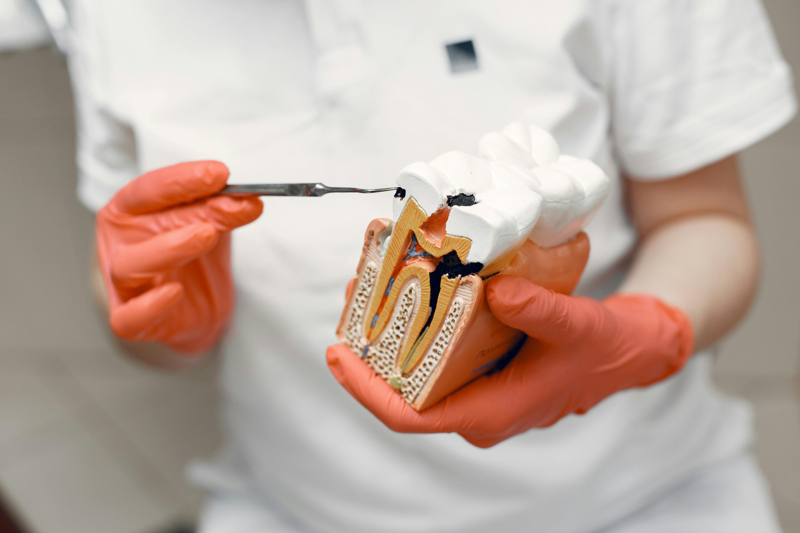 Endodoncia en Clínica Dental Doctores Megía